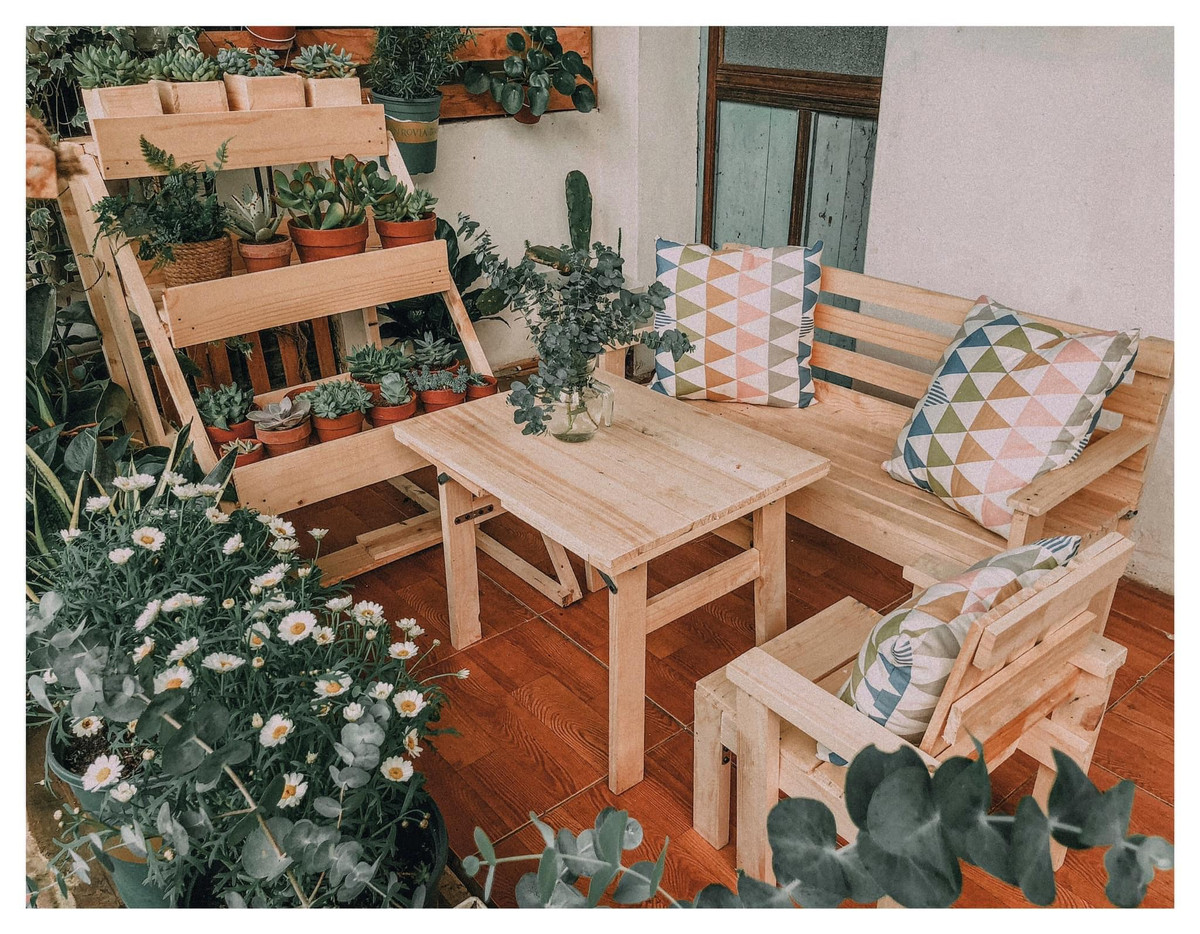 Những loại cây chị Nghĩa ưu tiên trồng thường là sen đá,xương rồng, các loại trầu bà, khuynh diệp và hương thảo vì nắng chỗ mình không nhiều.