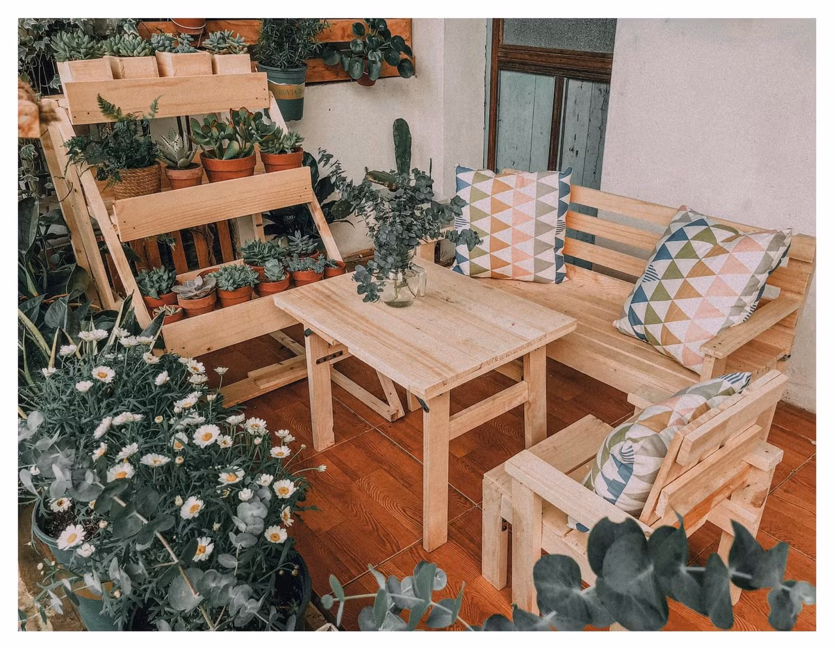 Những loại cây chị Nghĩa ưu tiên trồng thường là sen đá,xương rồng, các loại trầu bà, khuynh diệp và hương thảo vì nắng chỗ mình không nhiều.