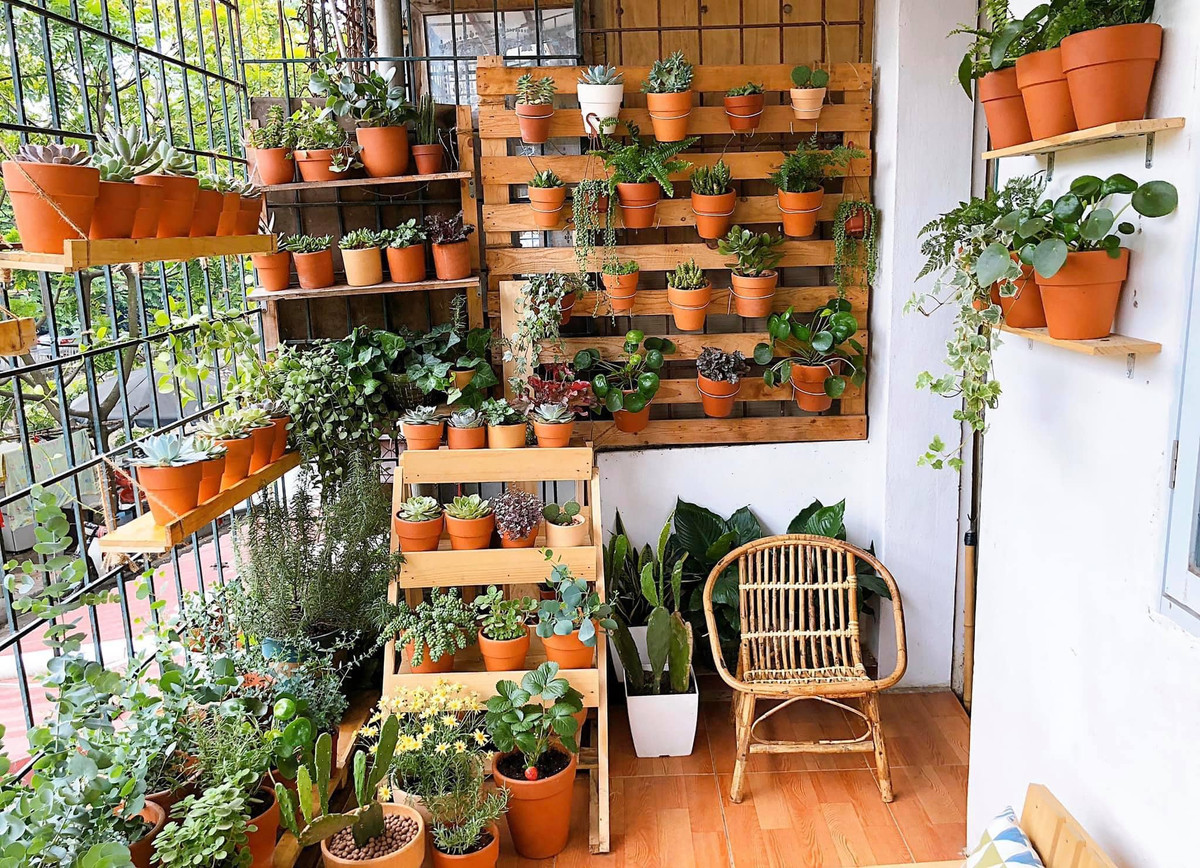 Những hình ảnh ban công đầy cây xanh của bà mẹ 8x này sau khi đăng tải lên MXH đã gây sức hút cực lớn, phần lớn các chị em nội trợ đều mê mẩn góc nhỏ xanh mướt này của chị Nghĩa.