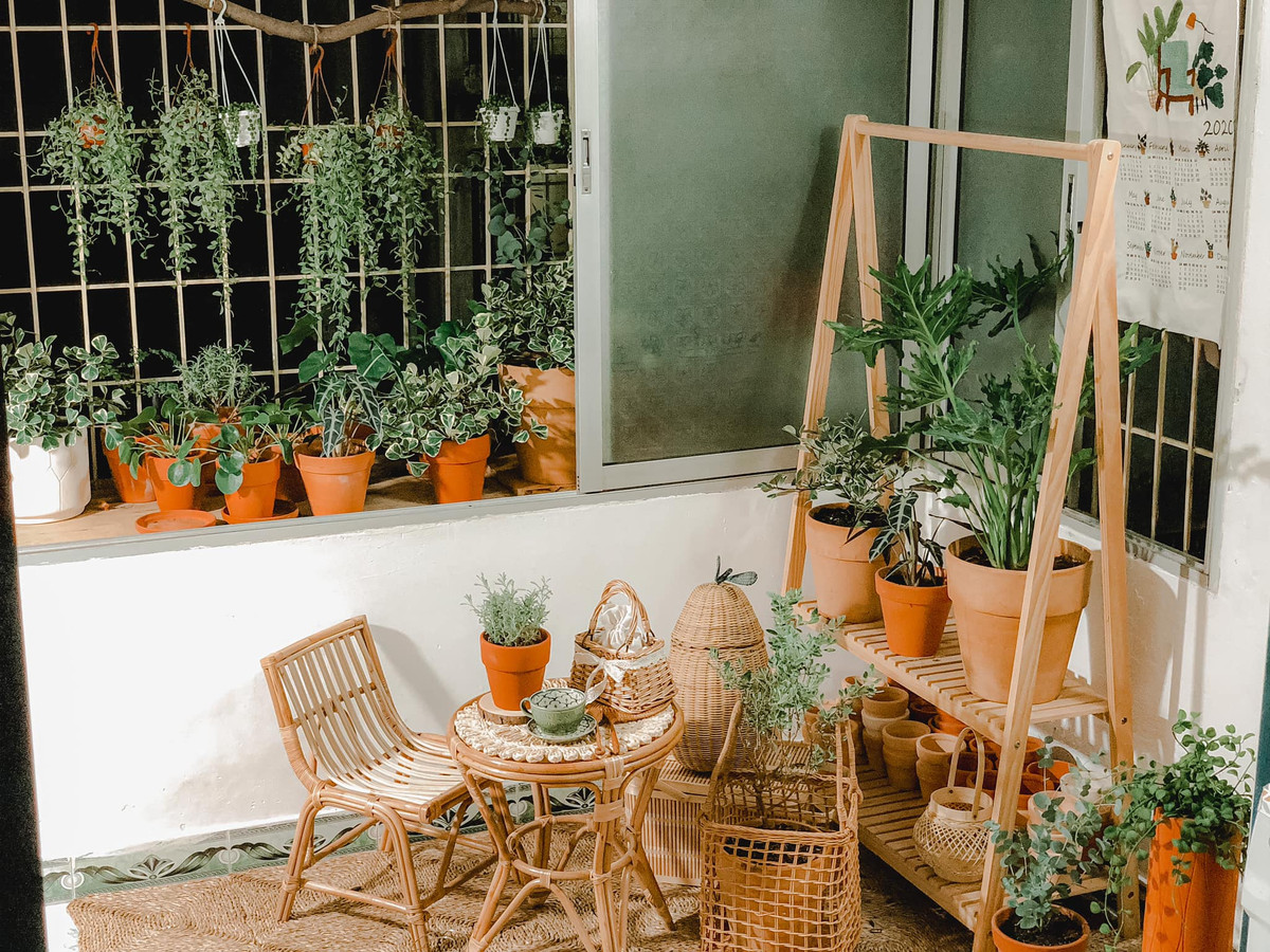 Nhiều người thậm chí còn nhận xét khu vườn nhỏ này của chị Nghĩa đẹp như tranh vẽ.