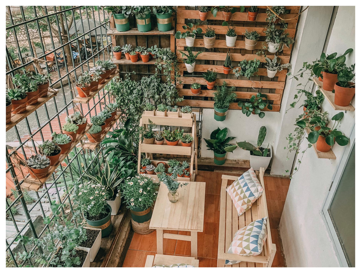 Mới đây, những hình ảnh về khu vườn tuyệt đẹp nơi ban công của bà mẹ 8x Nguyễn Hồng Nghĩa gây xôn xao cộng đồng mạng, khiến nhiều chị em không khỏi mơ ước.