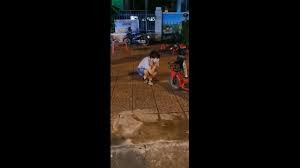 Theo đó, nam thanh niên này vì mắc phải sai phạm là ra đường không lý do chính đáng ngày giãn cách nên bị cán bộ công an bắt quả tang. Thay vì phạt tiền, các cán bộ đã nghĩ ra hình phạt khiến nhiều người thích thú, đó là làm động tác "thụt dầu" 50 cái.