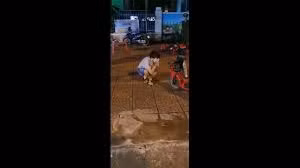 Theo đó, nam thanh niên này vì mắc phải sai phạm là ra đường không lý do chính đáng ngày giãn cách nên bị cán bộ công an bắt quả tang. Thay vì phạt tiền, các cán bộ đã nghĩ ra hình phạt khiến nhiều người thích thú, đó là làm động tác "thụt dầu" 50 cái.