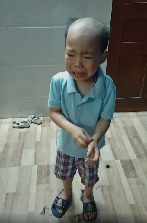 Đã có rất nhiều ông bố bà mẹ vừa bực vừa buồn cười khi nhìn mái tóc của con nham nhở, lởm chởm mất thẩm mỹ mặc dù đó là tác phẩm của mình.