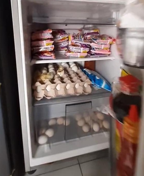 Gia chủ này đã mua mì tôm và trứng về tích trữ, có vẻ như tủ lạnh không được cắm điện nên kết quả là không khác gì lồng ấp cho những quả trứng nở thành con.
