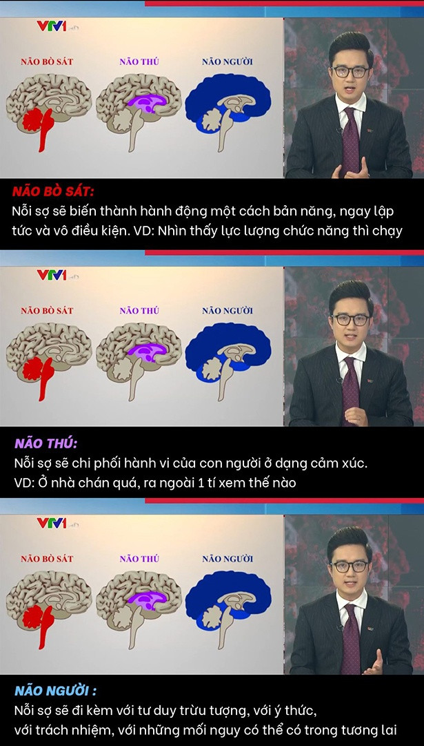 Tuy nhiên, điểm đáng chú ý nhất là MC Chuyển động VTV24 đã so sánh cơ sở khoa học về não bộ con người. Nhưng điểm đáng bức xúc là lại so sánh với cấu trúc của những loài khác như bò sát, thú vật...