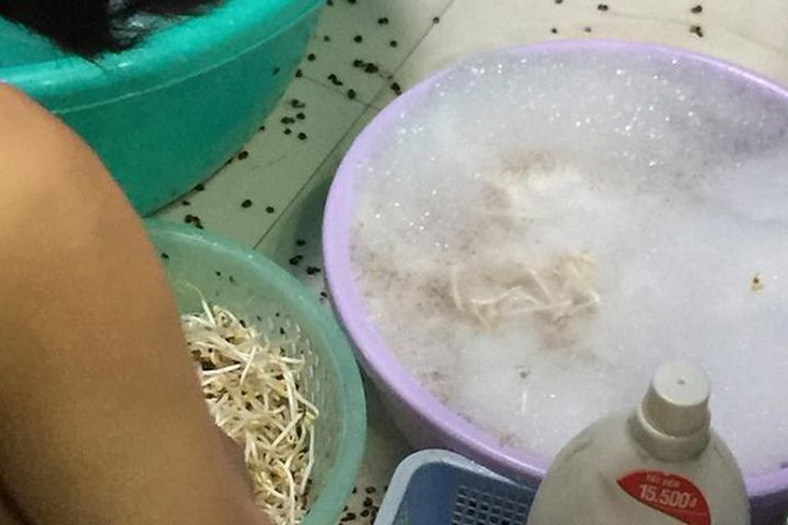 Thậm chí theo hình ảnh ghi lại cô nàng còn vò vò, chắc cho xà phòng thấm đều vào sợi giá.