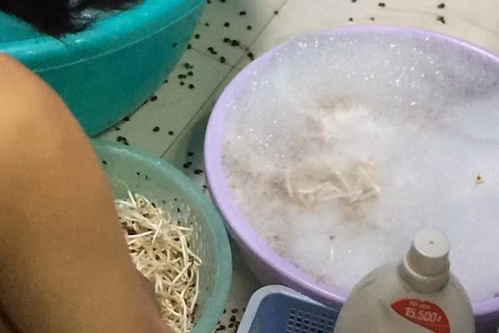 Thậm chí theo hình ảnh ghi lại cô nàng còn vò vò, chắc cho xà phòng thấm đều vào sợi giá.