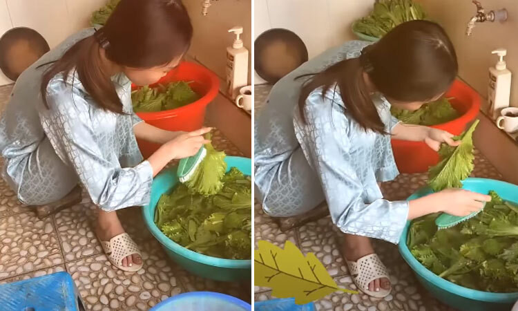 Cô gái đã cẩn thận dùng bàn chải để rửa sạch từng lá rau xanh, sạch từng milimet trước khi cho vào nấu. Ảnh: Tổng hợp