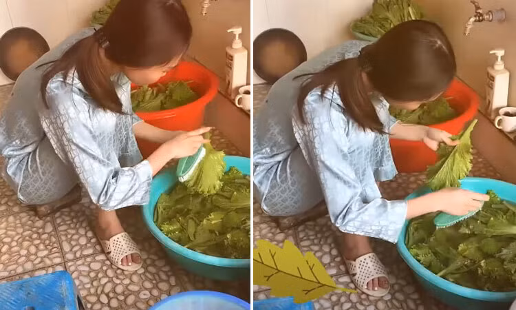 Cô gái đã cẩn thận dùng bàn chải để rửa sạch từng lá rau xanh, sạch từng milimet trước khi cho vào nấu. Ảnh: Tổng hợp