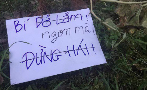 Tấm bảng chống trộm "bá đạo" với lời nhắn nhủ thẳng đuột đã khiến cư dân mạng một phen ôm bụng cười: “Mùa dịch này quý nhất bó rau, đừng hòng”, "Bực chứ bộ, nhà có xíu rau mà cứ lấy của người ta",...