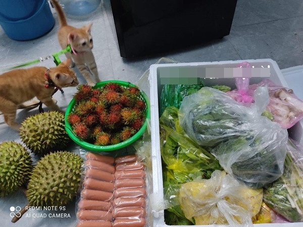 Cư dân mạng cũng được dịp khoe đồ tiếp tế của bố mẹ.