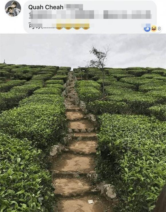 Bức ảnh bất ngờ chẳng còn ai khác hẳn với phiên bản gốc.