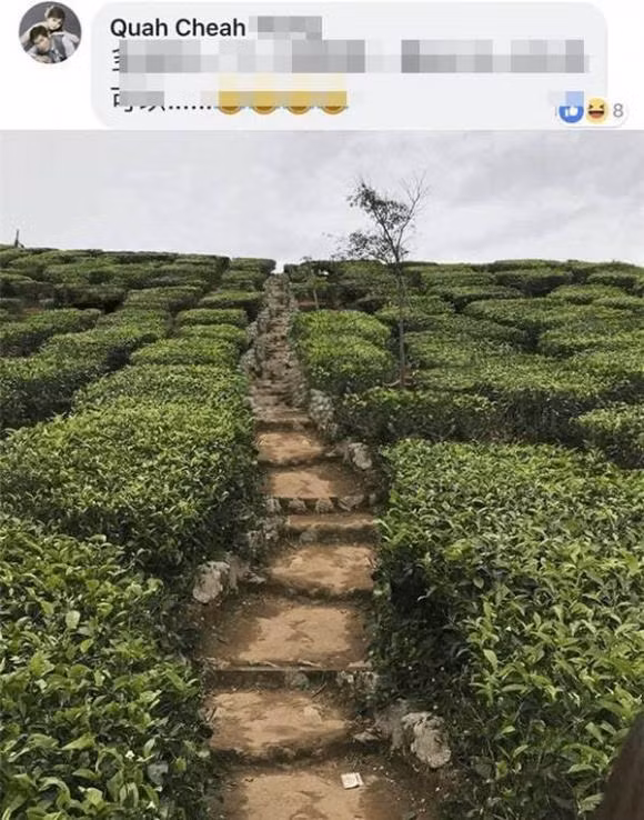 Bức ảnh bất ngờ chẳng còn ai khác hẳn với phiên bản gốc.