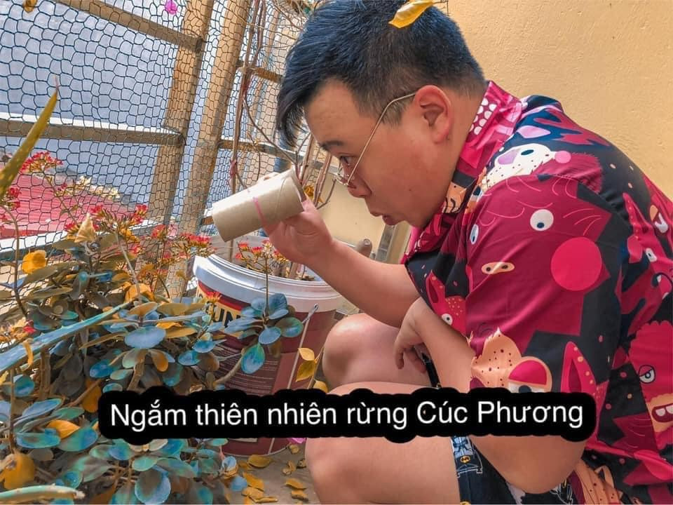 Đã xuống biển, ngắm thác thì chắc chắn không thể thiếu lên rừng Cúc Phương để tận hưởng thiên nhiên nơi đây.