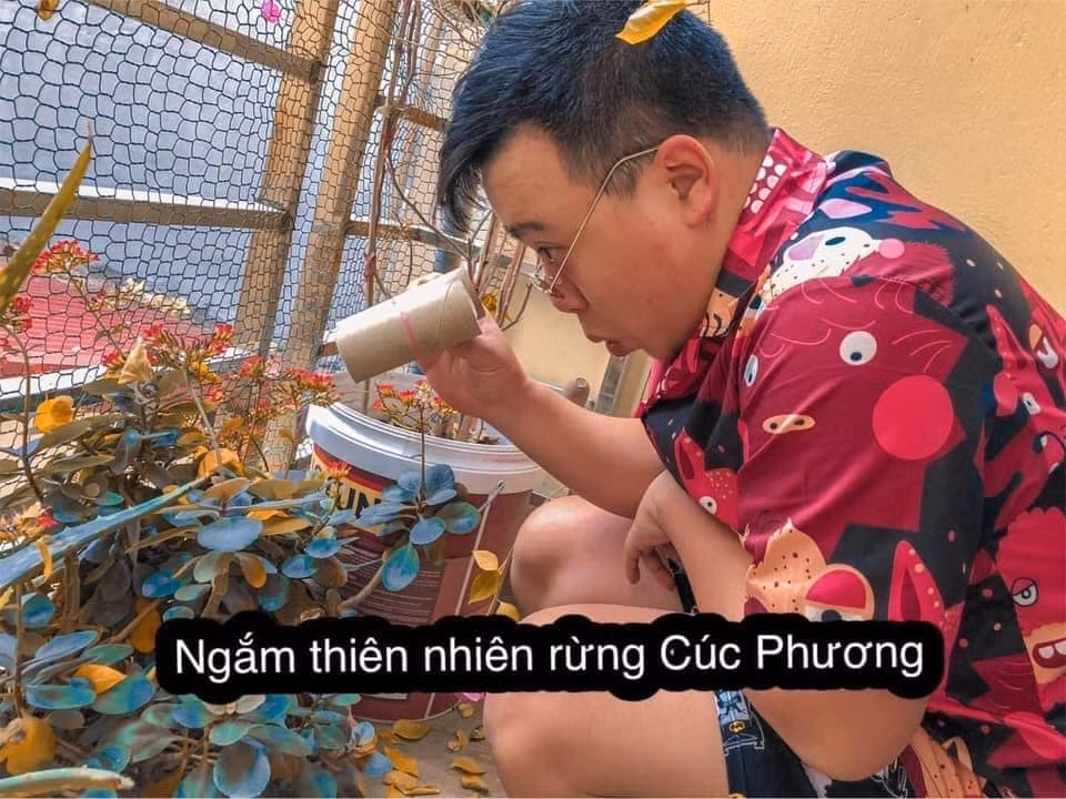 Đã xuống biển, ngắm thác thì chắc chắn không thể thiếu lên rừng Cúc Phương để tận hưởng thiên nhiên nơi đây.