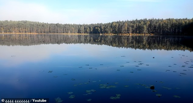 Tuyên bố của ông Ryzhkov nhận được sự quan tâm lớn của công chúng. Nhiều người không biết liệu nhận định của ông Ryzhkov có chính xác hay không.