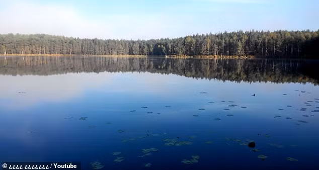 Tuyên bố của ông Ryzhkov nhận được sự quan tâm lớn của công chúng. Nhiều người không biết liệu nhận định của ông Ryzhkov có chính xác hay không.