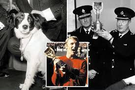 Su that thu vi con vat tro thanh “cuu tinh” cua nuoc Anh