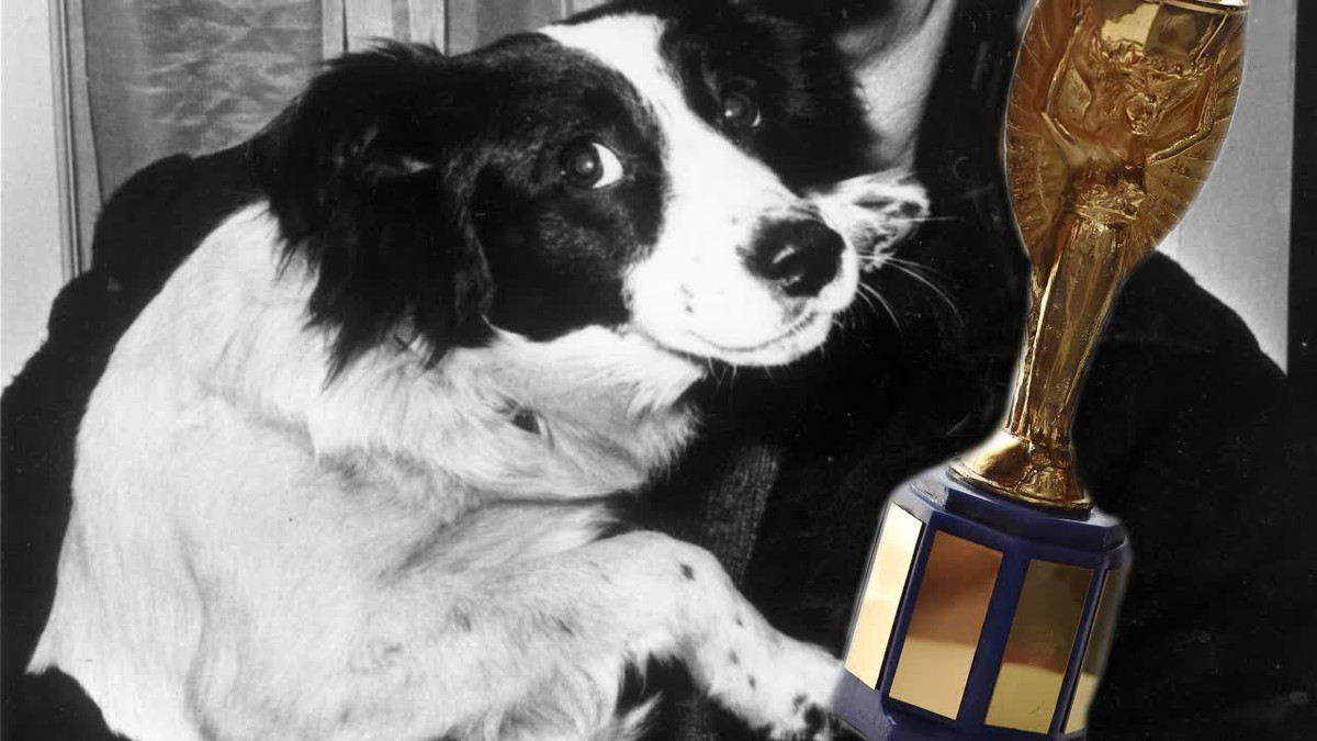 Nhờ vậy, cảnh sát bắt được Edward Betchley, một cựu binh 46 tuổi. Tại cơ quan điều tra, người này khai nhận chỉ là trung gian và được trả 500 bảng để tới địa điểm nhận tiền trong khi thủ phạm vẫn giữ chiếc cúp.