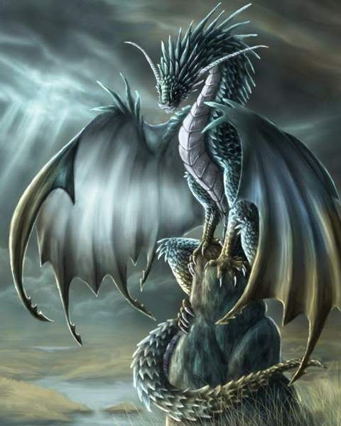 Cụ thể, điểm chung của nhiều giai thoại về rồng ở các nền văn minh là sinh vật huyền bí này mang sức mạnh siêu nhiên và là kết hợp của những loài động vật khác nhau.