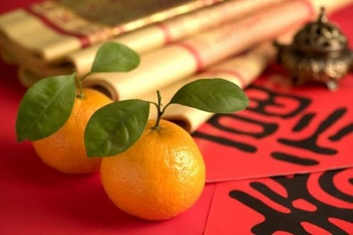 Theo quan niệm của người Trung Quốc, chữ “quýt” gần âm với chữ “cát” (có nghĩa là “may mắn”).