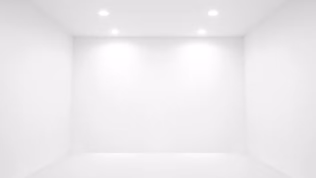 Giống như tên gọi, phạm nhân bị tra tấn theo phương pháp này sẽ được đưa đến một căn phòng được sơn màu trắng.