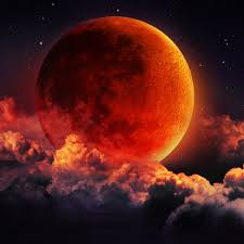 Trước khi gây chú ý với thuyết âm mưu về siêu trăng máu xuất hiện vào ngày 22/1, mục sư Begley được biết đến với nhiều chia sẻ về ngày tận thế.