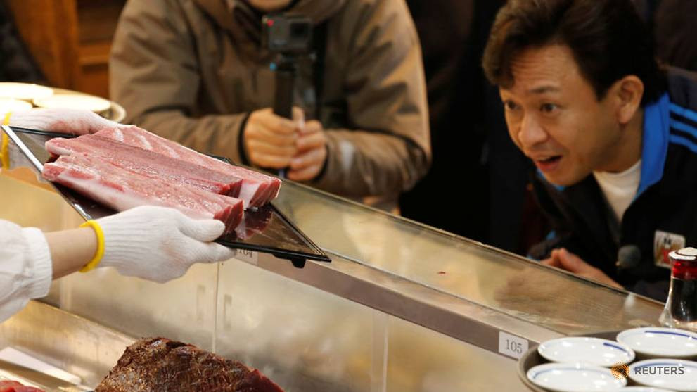 Bằng một phép tính đơn giản thì 1 kg thịt con cá ngừ nói trên sẽ có giá lên đến 11.151 USD (khoảng 259 triệu đồng).