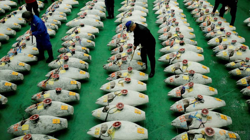 Bắt đầu hoạt động từ năm 1935, chợ cá Tsukiji nổi tiếng với những cuộc đấu giá cá ngừ, mỗi năm thu hút hàng chục nghìn du khách đến tham quan. Tuy nhiên, sau nhiều thập kỷ tồn tại, chợ cá Tsukiji đã xuống cấp cả về cơ sở vật chất lẫn điều kiện vệ sinh. Ý tưởng di dời chợ cá từ Tsukiji đến Toyosu được khởi xướng từ 18 năm trước, tuy nhiên bị trì hoãn nhiều lần do vấp phải nhiều sự phản đối của tiểu thương và người dân.