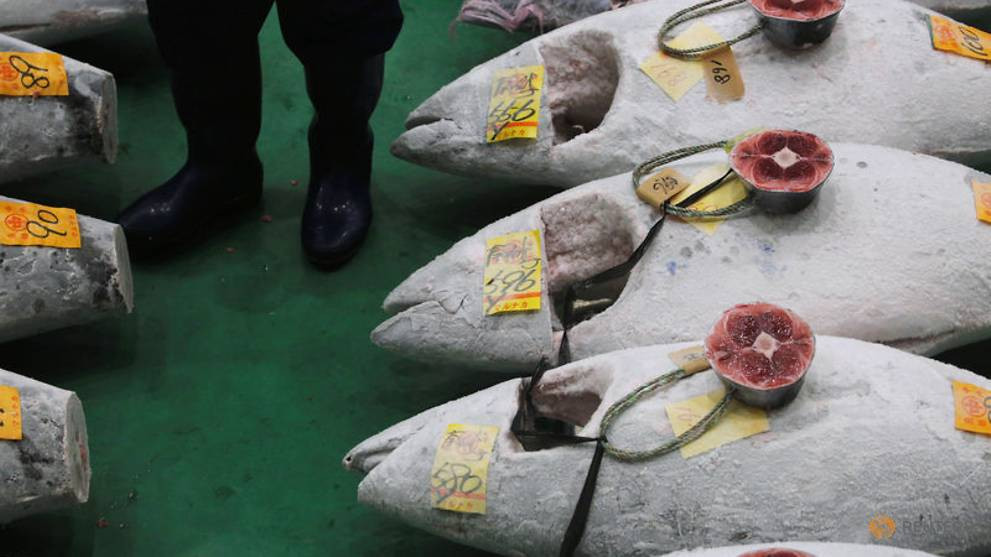 Chợ Tsukiji có phiên đấu giá cuối cùng vào ngày 6/10 năm ngoái, trước khi tạm ngừng hoạt động để chính thức chuyển đến địa điểm mới tại Toyosu, cách đó vài km về phía Đông.