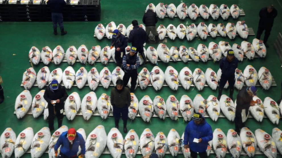 Phiên đấu giá kỷ lục lần này diễn ra tại chợ cá ở Toyosu. Chợ cá mới này được xây dựng thay thế chợ cũ Tsukiji - chợ cá lớn nhất thế giới và là một trong những điểm du lịch nổi tiếng nhất thủ đô Tokyo.