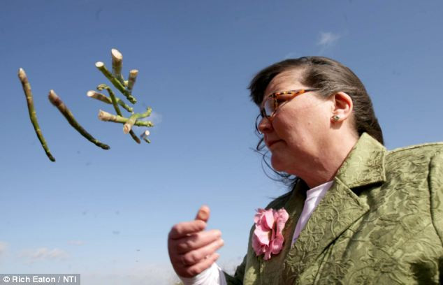 Trước những dự đoán của nhà ngoại cảm Packington về năm 2019, nhiều người tin rằng những điều này rất có khả năng ứng nghiệm. Nguyên do là vì 10 trong số 13 tiên đoán của bà về năm 2018 đã trở thành sự thật.