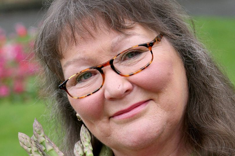 Theo nhà ngoại cảm Packington, bà có thể nhìn trước tương lai thông qua việc ném măng tây lên cao và giải nghĩa cách chúng rơi xuống đất.