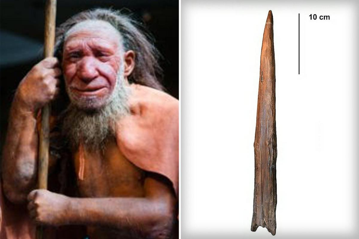 Săn bắt động vật là một phần cuộc sống hàng ngày của người Neanderthal thời xưa. Để làm được như vậy, họ cần tới những siêu vũ khí.