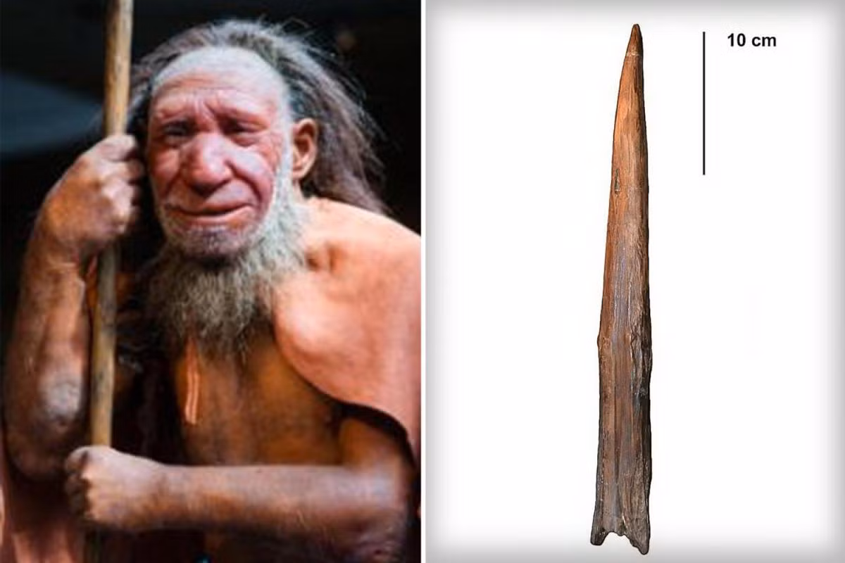 Săn bắt động vật là một phần cuộc sống hàng ngày của người Neanderthal thời xưa. Để làm được như vậy, họ cần tới những siêu vũ khí.
