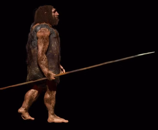 Người Neanderthal đã biến mất khỏi châu Âu vào khoảng 40.000 năm trước sau khi tồn tại và phát triển trong suốt nhiều thiên niên kỷ.