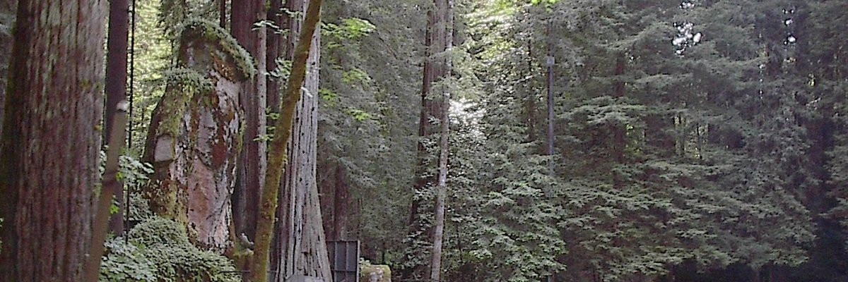 Về sau, hội kín này quy tụ nhiều nhân vật "máu mặt" trong xã hội như: chính trị gia, nhà khoa học đạt giải Nobel, tướng lĩnh cấp cao trong quân đội, hiệu trưởng các trường Đại học danh tiếng...