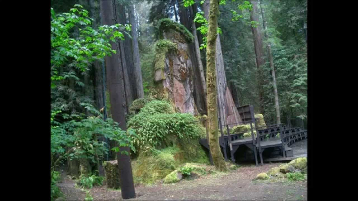 Mỗi năm, cứ vào khoảng giữa tháng 7, hội kín "Rừng Bohemia" tổ chức "tour dã ngoại" kéo dài trong nửa tháng.