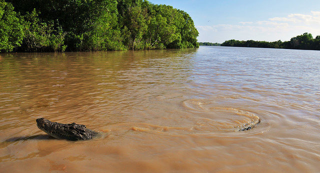 Với số lượng cá sấu nước mặn có kích thước "khủng" và có thể ăn bất cứ thứ gì đi vào vùng lãnh thổ của chúng (bao gồm cả con người) khiến du khách không dám đặt chân lên đảo Ramree.