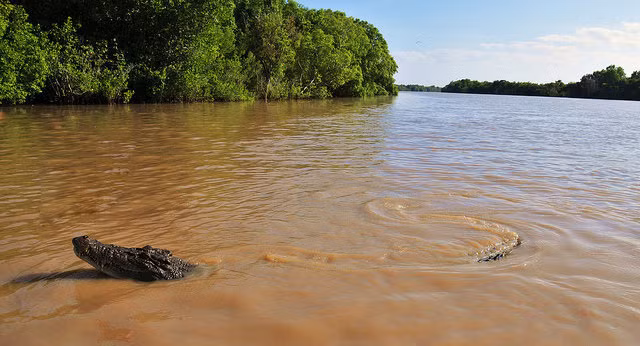 Với số lượng cá sấu nước mặn có kích thước "khủng" và có thể ăn bất cứ thứ gì đi vào vùng lãnh thổ của chúng (bao gồm cả con người) khiến du khách không dám đặt chân lên đảo Ramree.