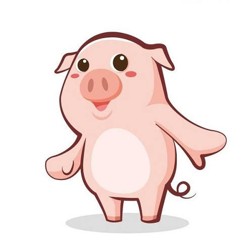 Tuổi Hợi có nhóm máu A thường rất tự tin và niềm đam mê khi theo đuổi những điều yêu thích.