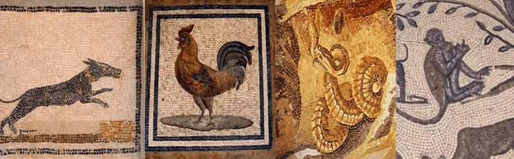 Khi bị tử hình theo cách này, phạm nhân sẽ chịu sự đau đớn khủng khiếp.