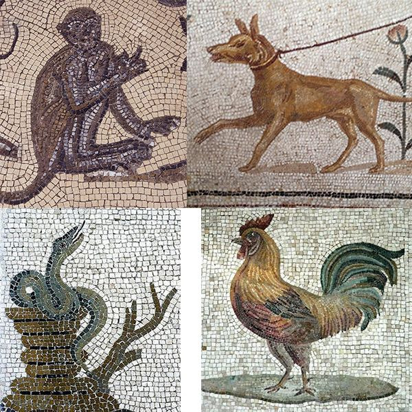 Bên trong bao tải có 4 con vật gồm: một con rắn, một con chó, một con khỉ và một con gà trống.