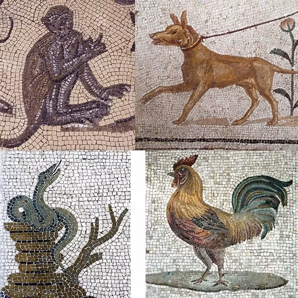 Bên trong bao tải có 4 con vật gồm: một con rắn, một con chó, một con khỉ và một con gà trống.