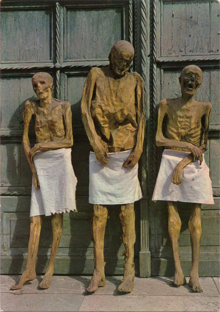 Liên quan đến vấn đề này, một số chuyên gia cho rằng, Hypha tombicitia - loại nấm ký sinh có thể đã góp phần giúp những thi thể không bị phân hủy.