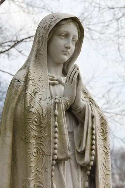 Tuy nhiên, cũng có không ít người cho rằng tượng Đức mẹ đồng trinh "khóc" chỉ là một trò lừa bịp, không có thật.