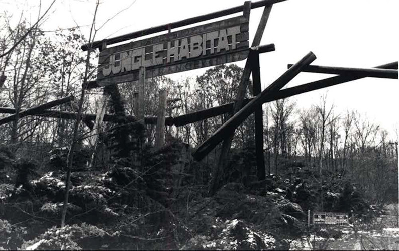 Trước những câu chuyện ma quái xảy ra tại Cliton Road, nhiều người không dám đi qua con đường này.