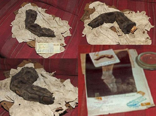 Thậm chí, tên trộm mộ còn cung cấp cho ông Sporri ảnh chụp X-quang để chứng minh ngón tay "khủng" trên là của con người chứ không phải là một trò đùa.