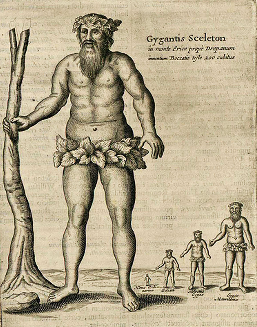 Một số tài liệu còn mô tả số hài cốt trên có xương phía hốc mắt và mũi cao hơn xương gò má, xương hàm lại có sự tương đồng với loài khỉ.